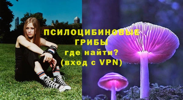 кокаин перу Михайлов