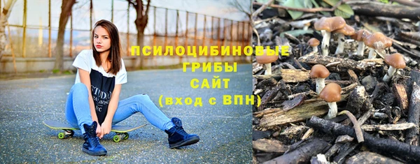 а пвп мука Бердск