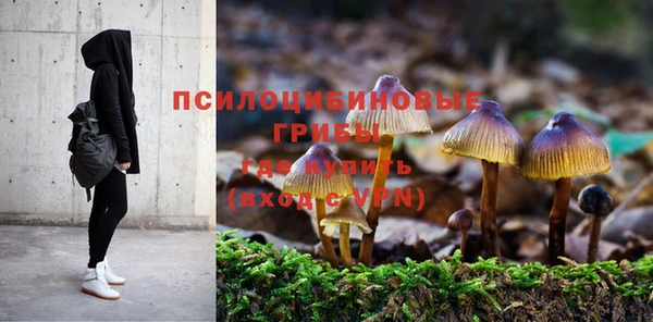 MDMA Premium VHQ Михайловка